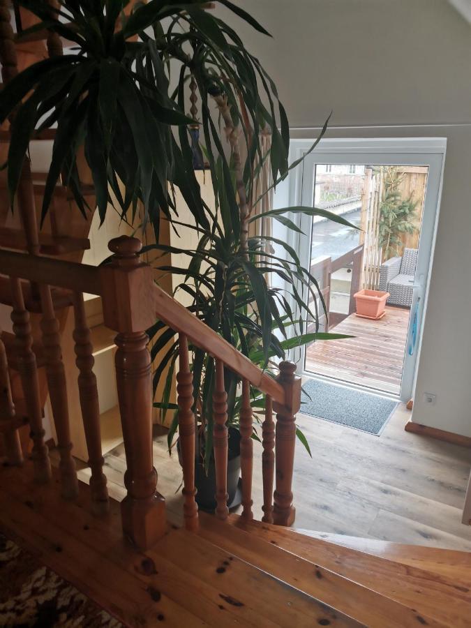 Apartament Forest Mysłakowice Exterior foto